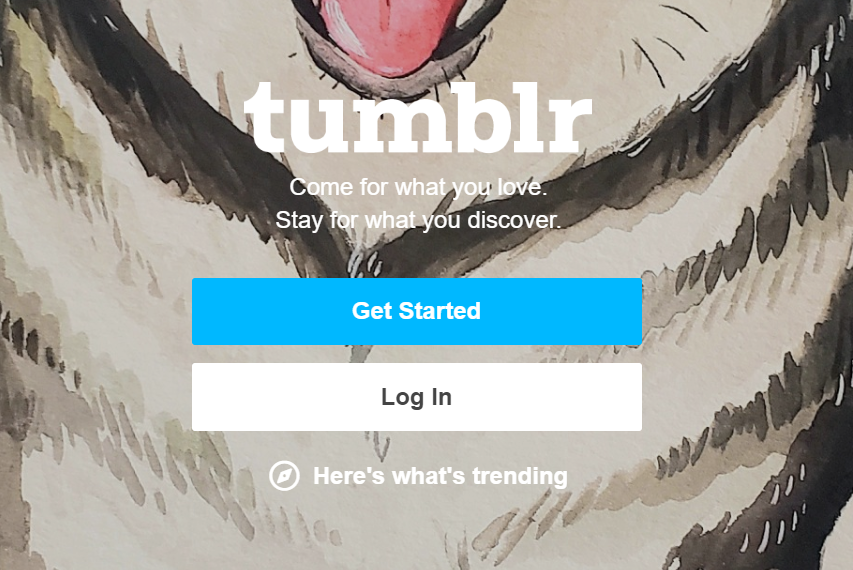 Tumblr